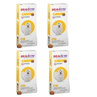 4 Bravecto Cães 2 A 4,5kg Antipulgas e Carrapatos MSD Anti Pulgas em Oferta na Shopee