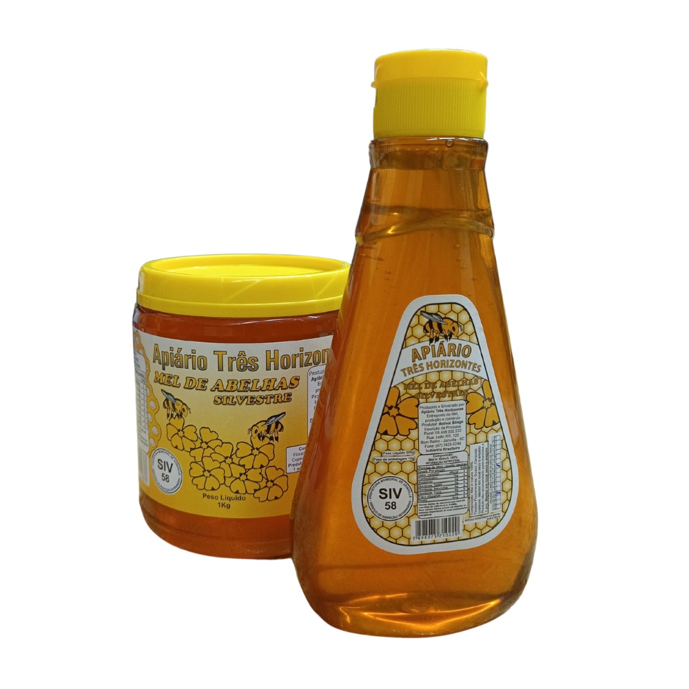 Mel de Abelha Florada Silvestre Puro 100% Natural