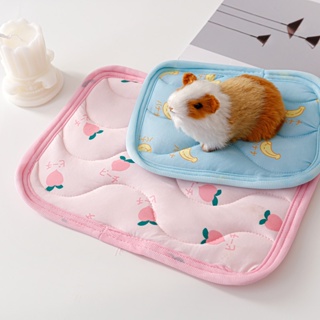 Porco Espinho Hamster Totoro Coelho De Verão Seda Gelada Sensação De Frio Almofada De Ninho