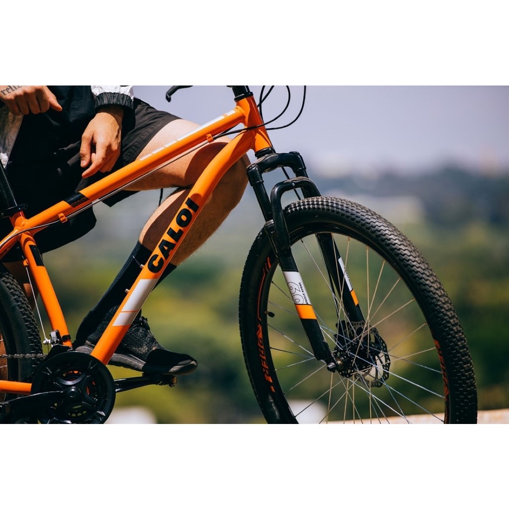 Bicicleta MTB Caloi Two Niner Alloy Aro 29 Sunrun 21 Velocidades Laranja Shopee Brasil