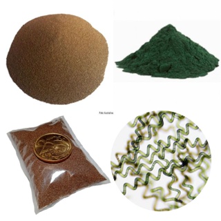 Kit Criação de Artêmia + Spirulina