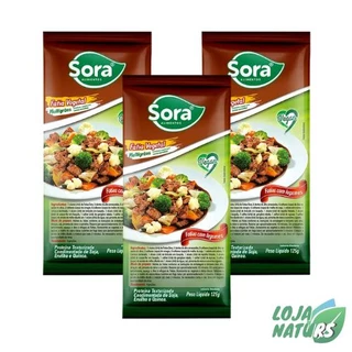 KIT Fatia de Carne Vegetal Multigrãos Sem Glúten Vegano 125g - SORA