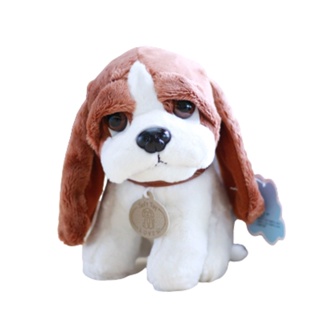 Camisa CACHORRO BASSET HOUND - LET'S GO FOR A WALK