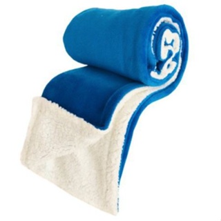 Cobertor Manta Sherpa de Bebe Infantil Azul