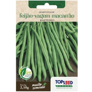 Sementes de Feijão Vagem Macarrão (Rasteiro) TOPSEED