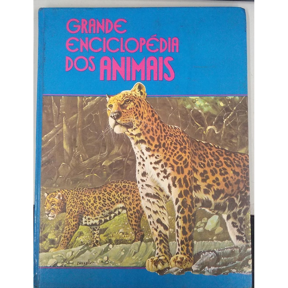 Jogos Do Mundo, PDF, Jaguar