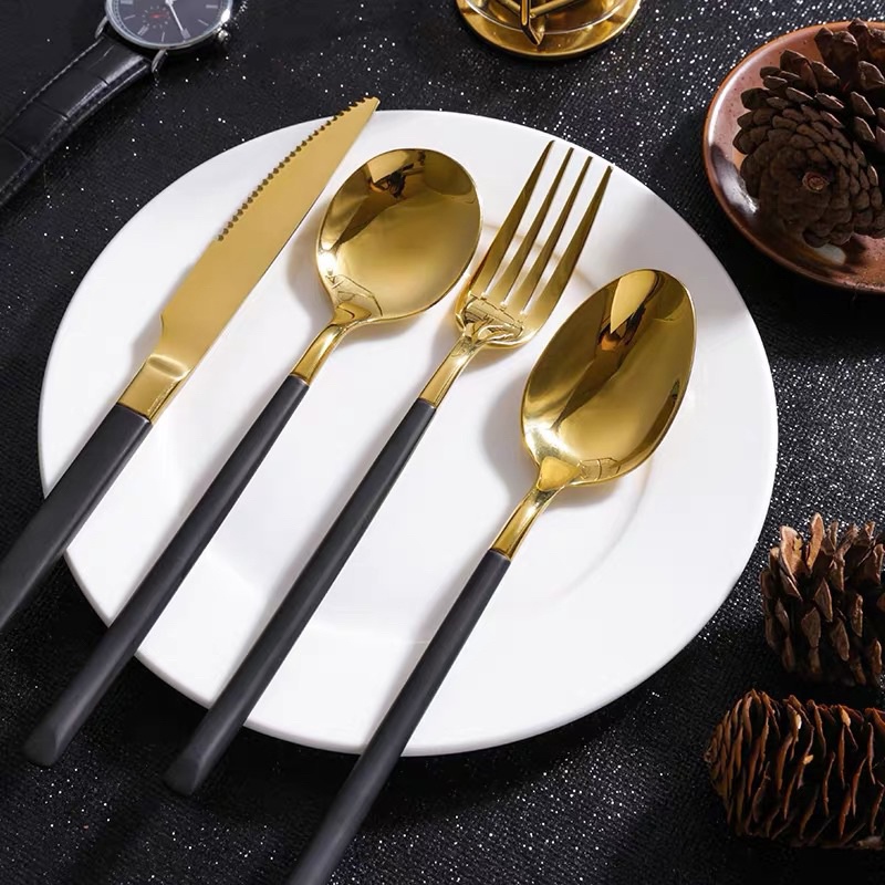Kit Talheres De adulto Com Estojo Inox Com Cabo De Plástico | Shopee Brasil