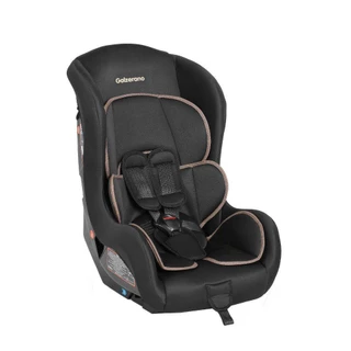 Cadeira para Carro Galzerano Maximus até 25Kg
