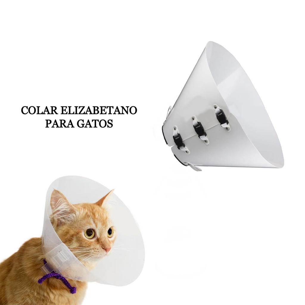 Colar Cirúrgico Elizabetano Recuperação para Gatos | Shopee Brasil