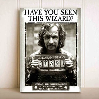 Placa Decorativa Quadro Harry Potter Sirius Black Bruxo