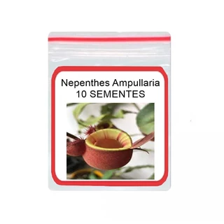 Nepenthes Ampullaria Planta Carnivora 10 Sementes
