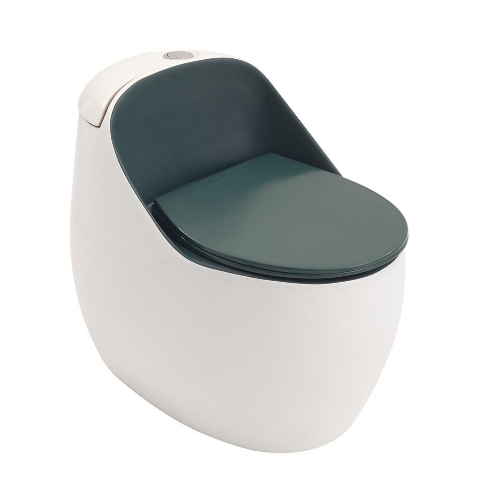 Vaso Sanitário Monobloco Caixa Acoplada Privada Aquarela Pingoo - Branco e Verde