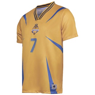 Bandeira da Romênia Brasão de armas Personalizado Camisas Polo Verão Casual  Streetwear Moda Masculina Solta Jersey Plus Size Sportswear