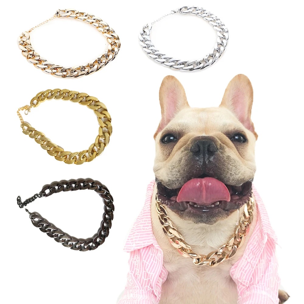 Dog collar clearance accessories