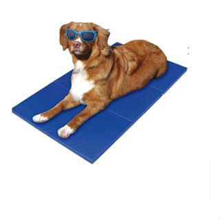 Tapete Gelado para Pet em PVC 50x65