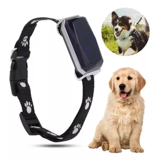 Coleira Rastreadora Gps Para Pets A Prova De Água E Poeira