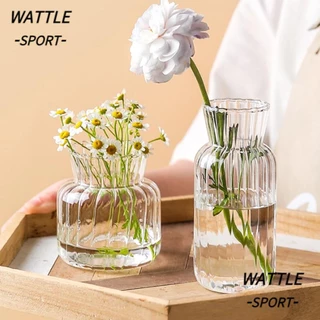 WATTLE Vasos De Vidro Frasco De Planta Transparente Hidropônica