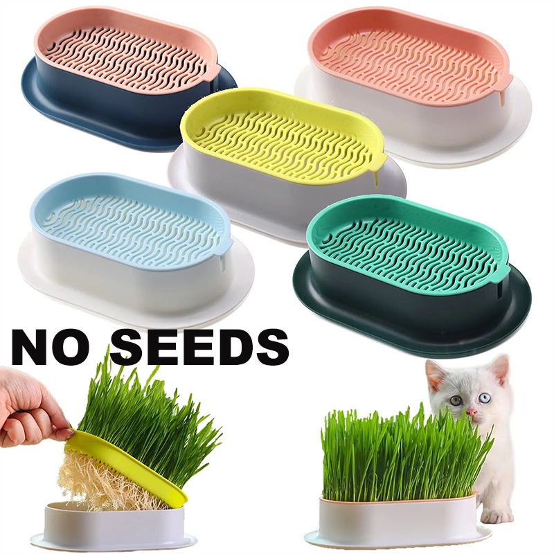 Caixa De Grama De Gato Respirável Plantio Vaso
