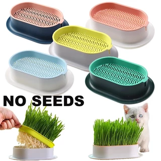 Caixa De Grama De Gato Respirável Plantio Vaso
