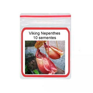 Viking Planta Carnivora Nepenthes Nefentes 10 Sementes