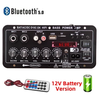 Placa Amplificadora Digital Bluetooth 220V 12V Subwoofer Dual Microphone Karaoke Amp Speaker Home Theater DIY Versão Recarregável