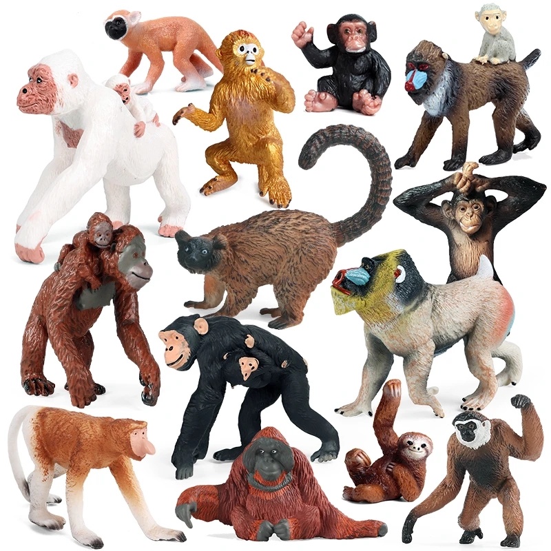 Animais Selvagens Soth Golden Snub-nosed Macaco Gibbon Chimpanzee