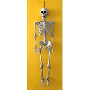 Esqueleto Corpo Humano 40 Cm Caveira P/ Festa e Decoração Halloween