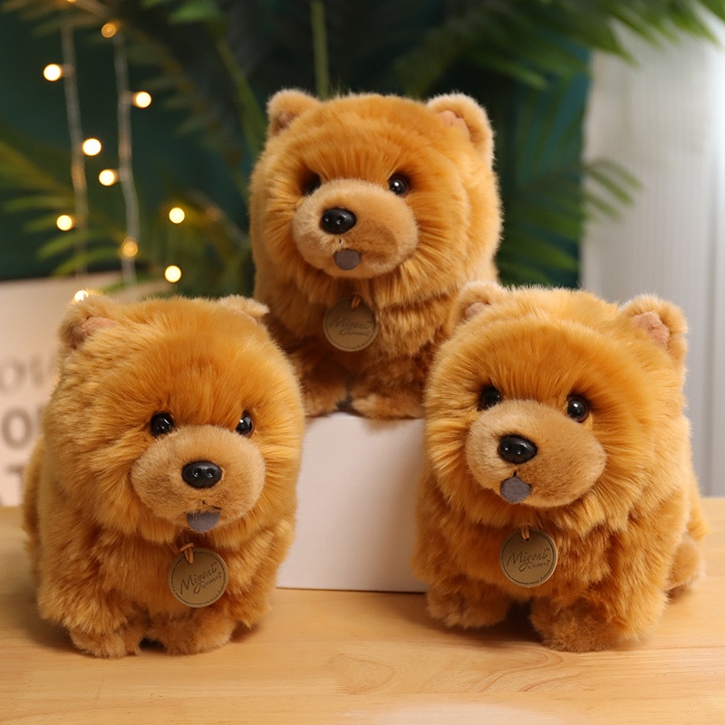 Chow chow best sale teddy bear