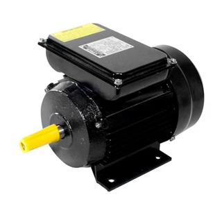 Motor Elétrico 2P Monofásico 3,0CV IP44 YL90L-2 LYNUS em Oferta na Shopee