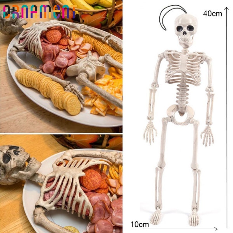 Kids' Educational Science Toy, STEM Game, Montado, Esqueleto do Corpo  Humano, Anatomia Órgãos, Bones Kit, Crianças