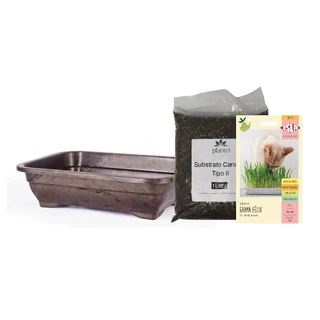 Kit Completo para Plantio de Graminha para Gatos