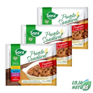 KIT 3 Unidades Picadinho ao Molho Caseiro Pronto e Saudável Sem Glúten Vegano 300g - SORA