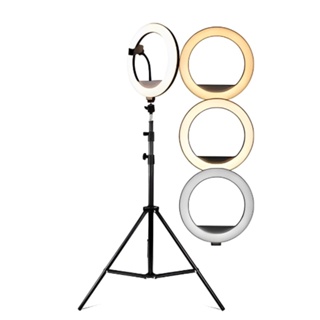 Ring Light Iluminador 10 Polegadas Com Tripé De 1.6Metros