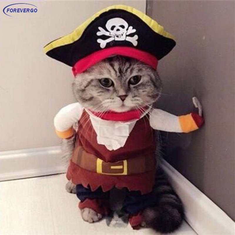 Forevergo Funny Pet Cat Costumes Fantasias De Gato Pirata Padrão De Crânio Fantasia De Halloween