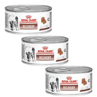 Kit com 3 Rações Úmidas Lata Royal Canin Veterinary Diet Recovery Cães e Gatos Adultos 195g