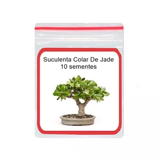 Suculenta Colar De Jade Crassula marnieriana 10 Sementes
