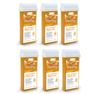 6 Cera Refil Roll On Depilflax Natural 100g