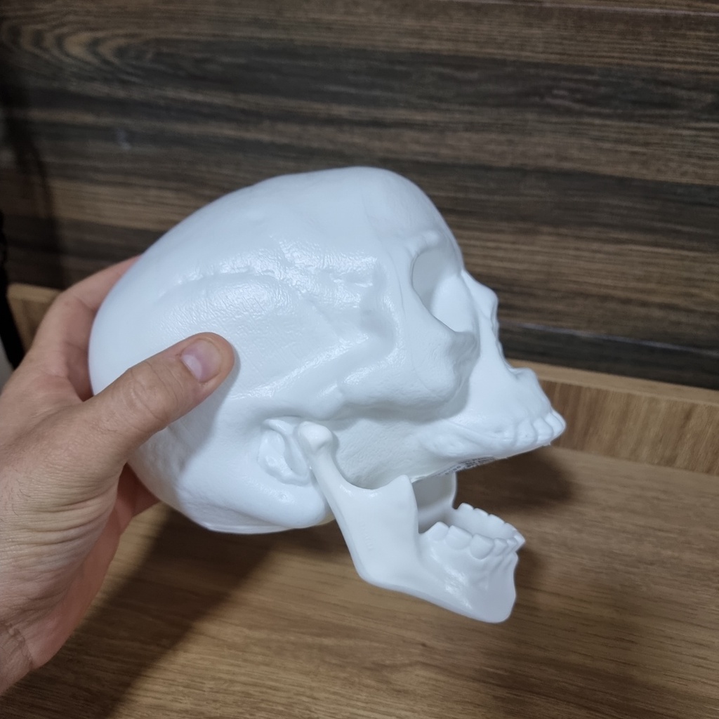 Cranio Caveira Esqueleto Decorativo Plastico Halloween Grand