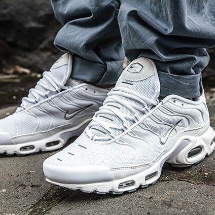 Air max hotsell 95 plus tn