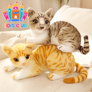 Kawaii Gato Siamês Brinquedo de Boneca de Pelúcia - Loja de Moda