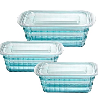 Kit 3 Potes Resistente Microondas/Freezer 450 ml/1000ml
