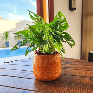 Vaso De Mesa Decorativo Cachepot De Porcelanato 13x13cm