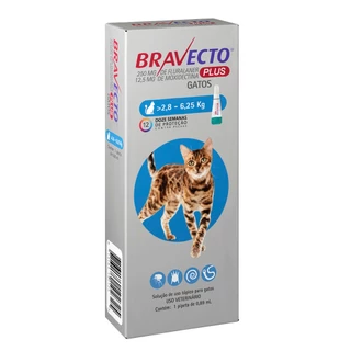 Antipulgas MSD Bravecto Plus Para Gatos de 2,8kg a 6,2kg 250mg