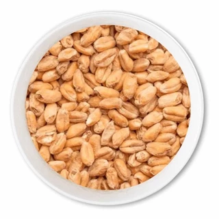 MALTE TRIGO CLARO AGRÁRIA - 1KG Insumo Cerveja Artesanal