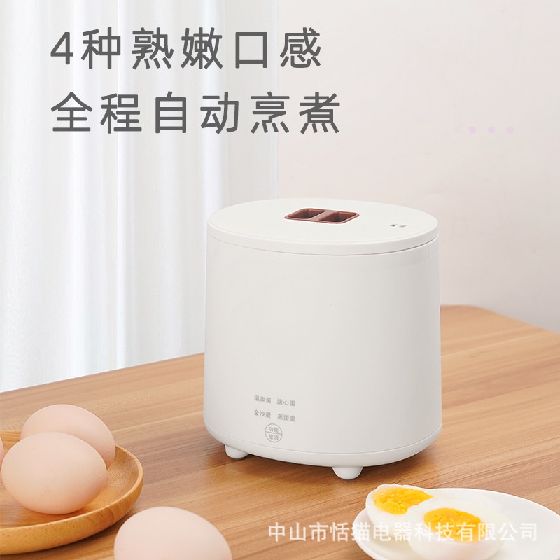 Egg Caldeira Hot Spring Egg Artefato 110V American Standard Egg Steamer ...
