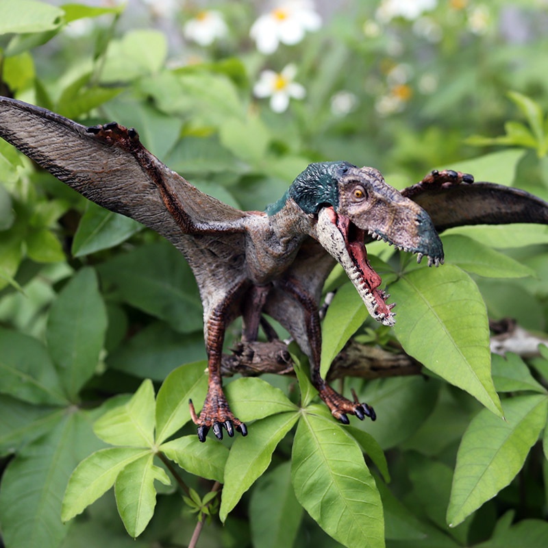 Pterossauro Jurássico Simulação Dinossauro Sólido Modelo de Brinquedo Pterossauro Eólio Pterossauro Pterodáctilo Ancient Magic Pterosaur Set