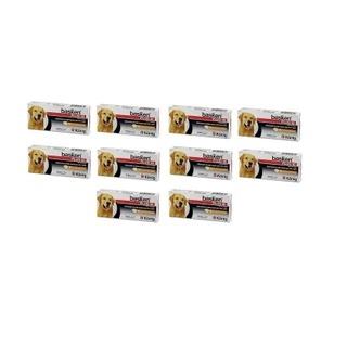 Kit 10 Basken Plus 40 Konig Vermífugo 4 Comprimidos