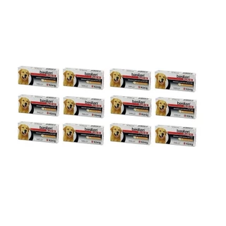 Kit 12 Basken Plus 40 Konig Vermífugo 4 Comprimidos