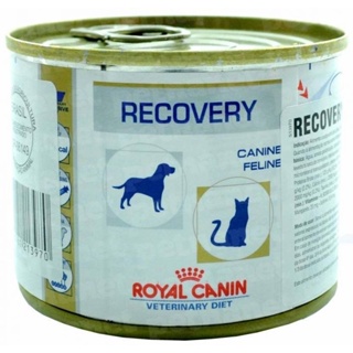 Royal Canin Veterinary Recovery Patê cachorro e gato 195g