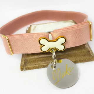 Coleira para Cachorro Yoo Pets com Placa Gravada Nome e Telefone Sem Fecho